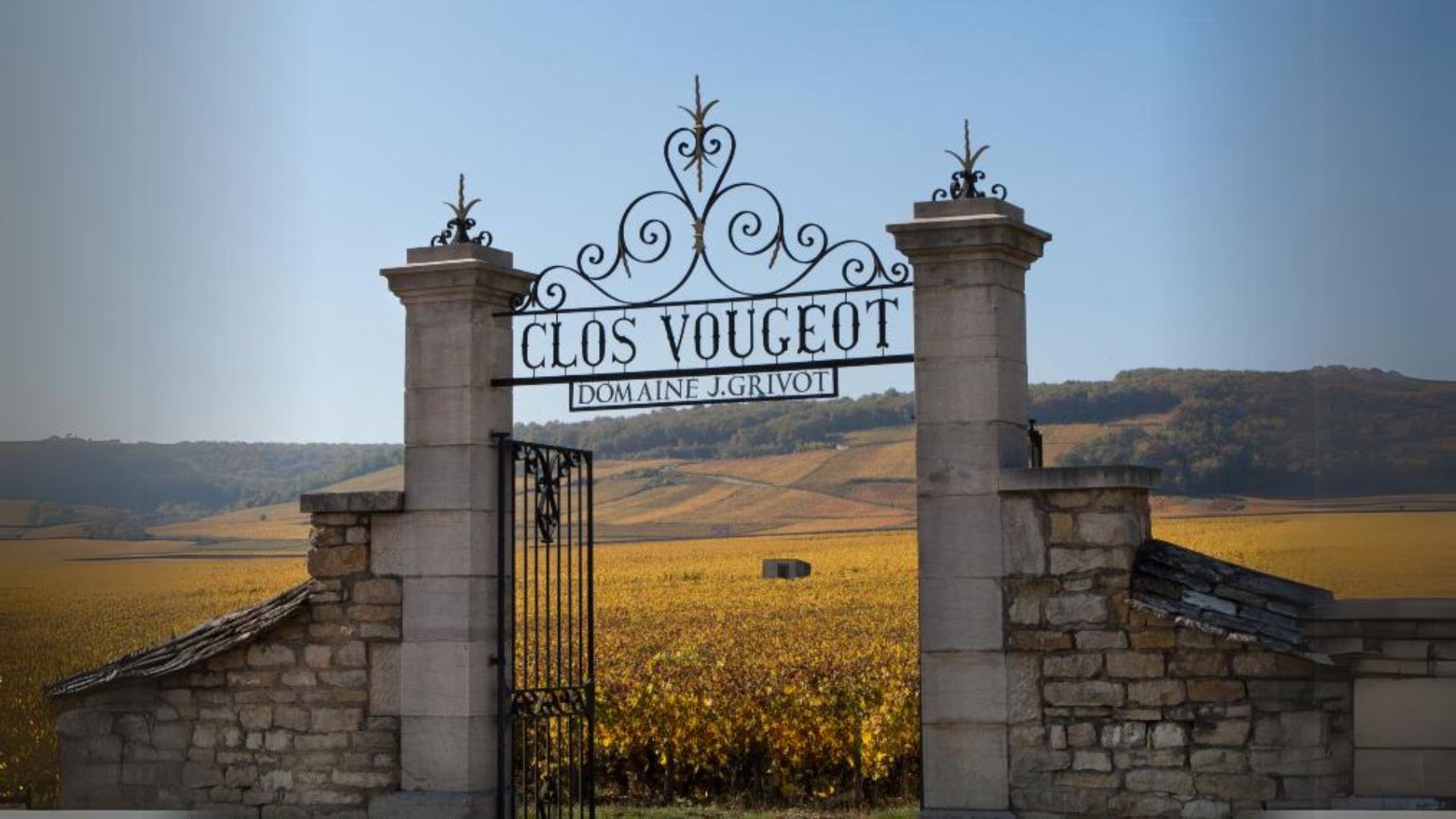 clos vougeot2